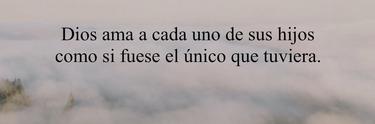 𝒶𝓌𝒾𝓁𝒹𝒶 𝕏 ✿ banner