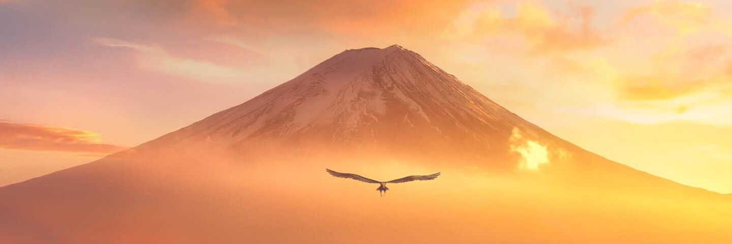 m8brillian's profile banner image