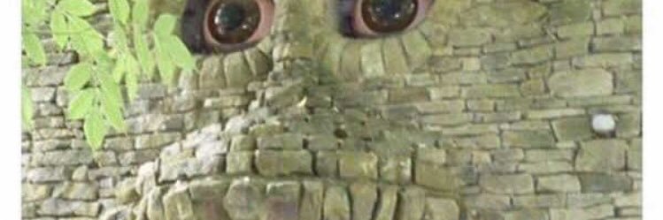 john the scared sunbear banner