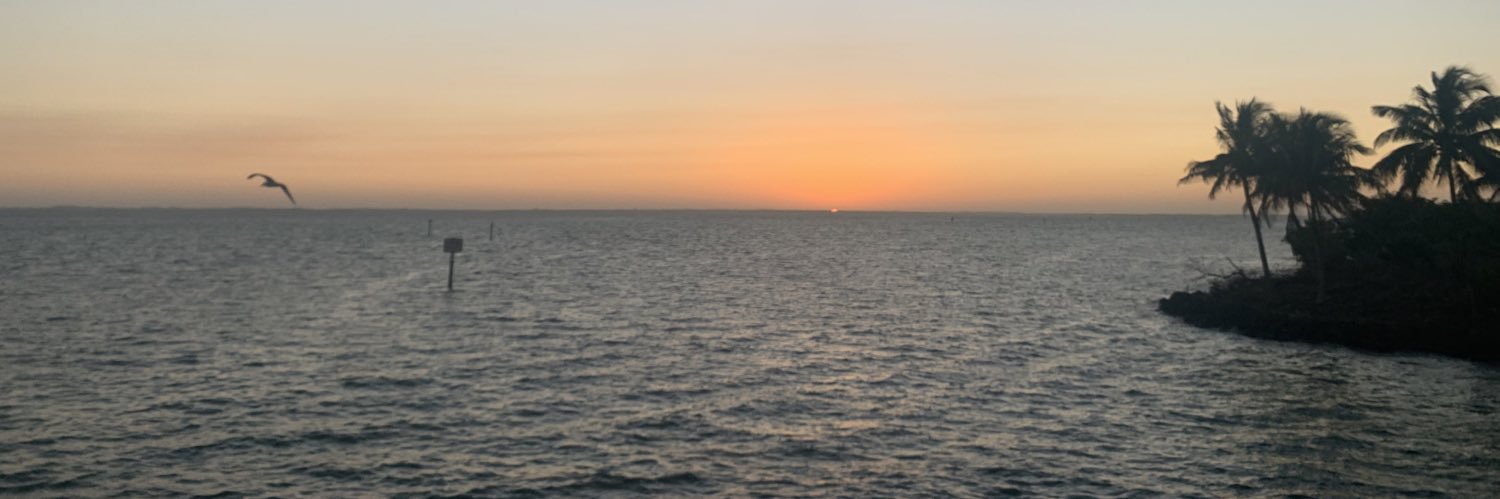ChrisDubya's profile banner image