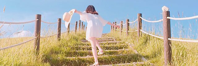 L banner