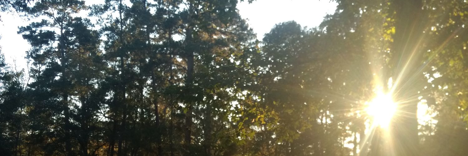 Cameronw98Wade's profile banner image