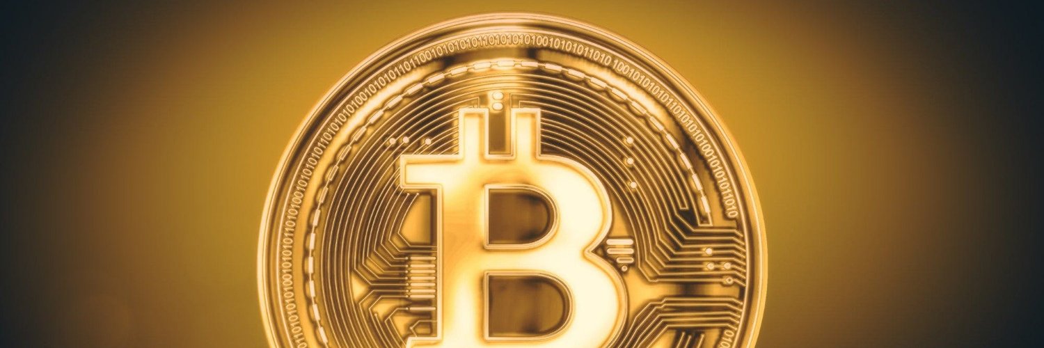 rose521111's profile banner image