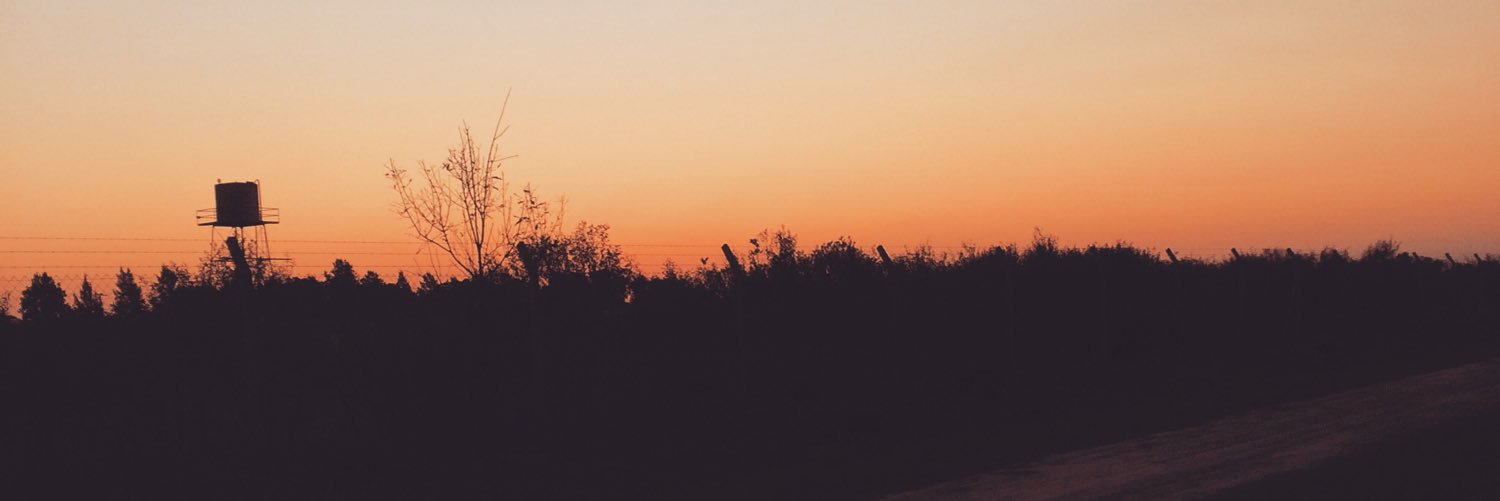Mauuchiiss's profile banner image