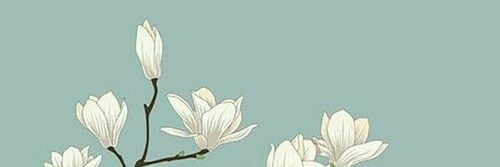 MariLMercado's profile banner image