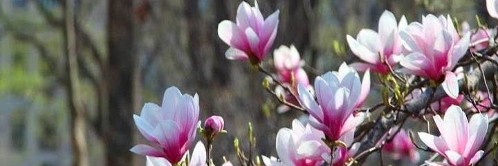 karasmith_340's profile banner image