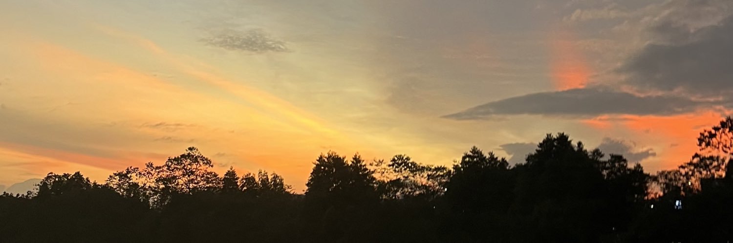 bipolar banner