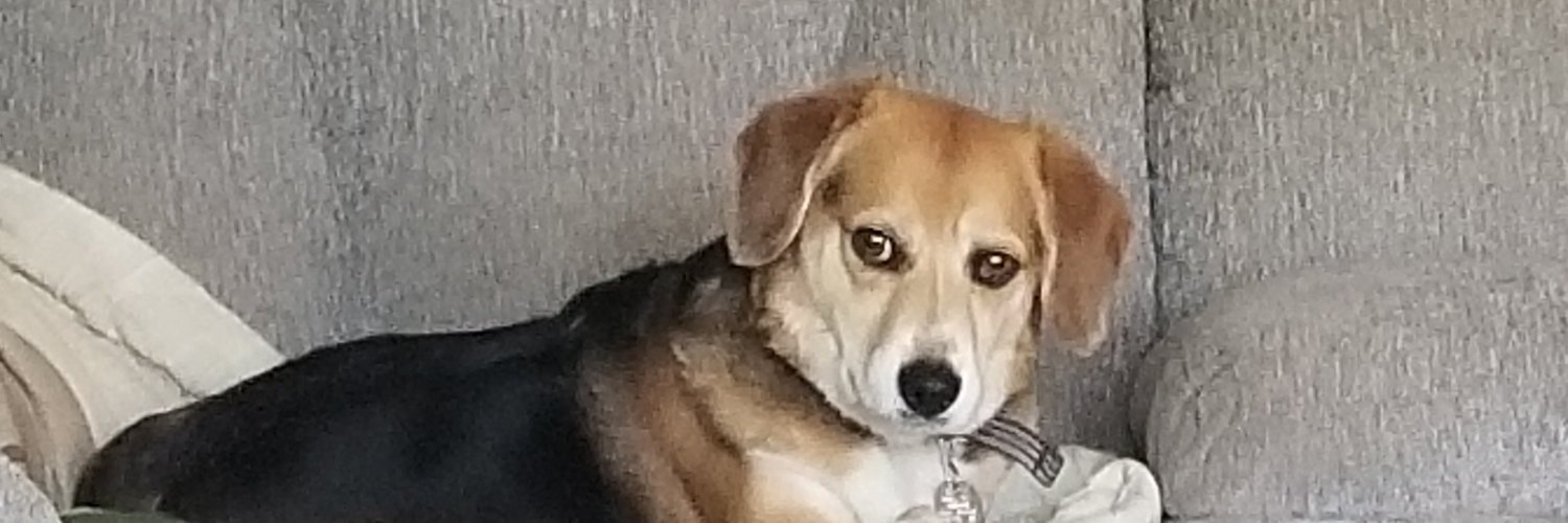mloahr's profile banner image