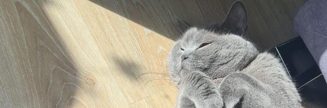 𝑁𝐴-𝑁𝐴 banner