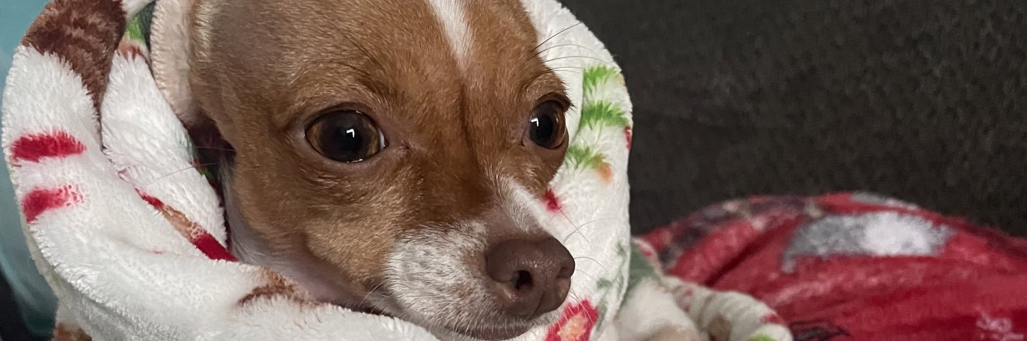 metzliboo's profile banner image