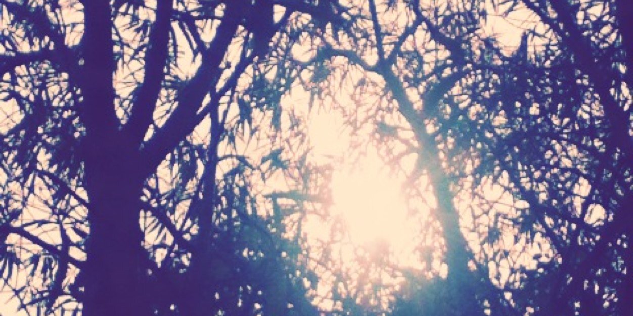 taylabrooklyn's profile banner image