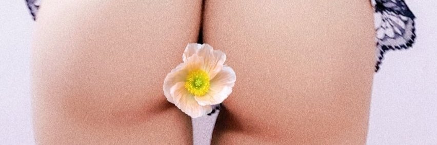 whippchan's profile banner image