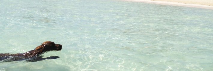 robinleeu's profile banner image