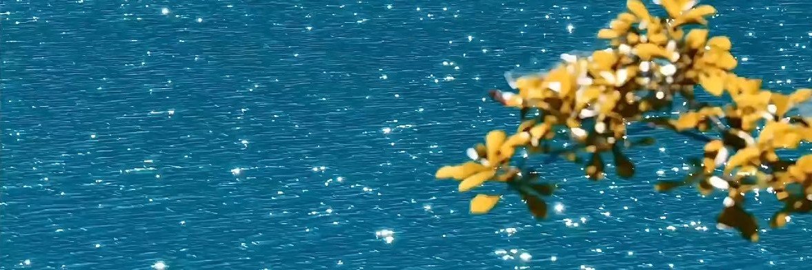 G_oyman4's profile banner image