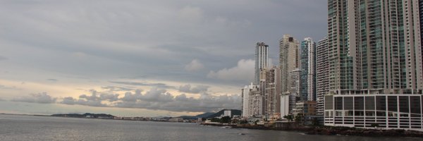 iminimalistic Profile Banner