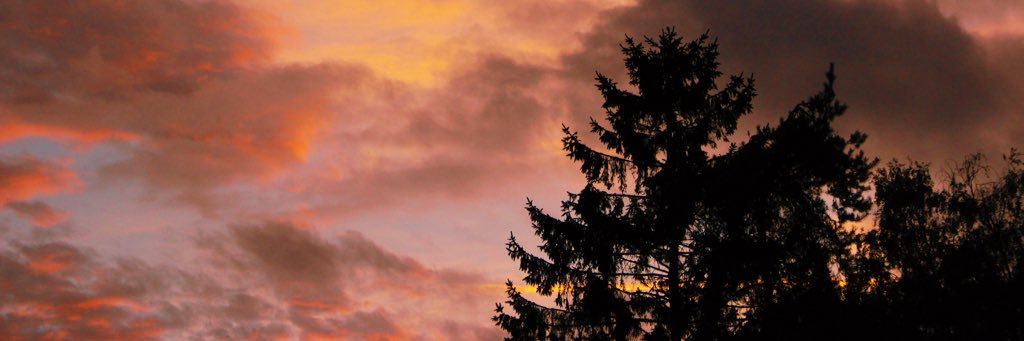 _JemmaY_'s profile banner image