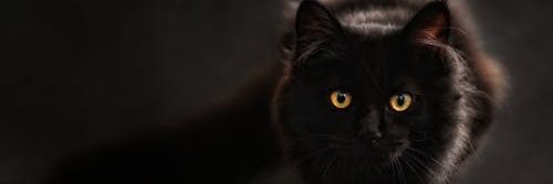 minmin banner