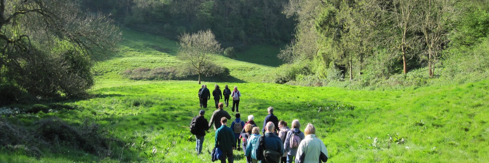 @WottonWalkingFest banner
