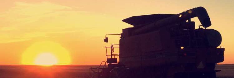 terrdawn's profile banner image