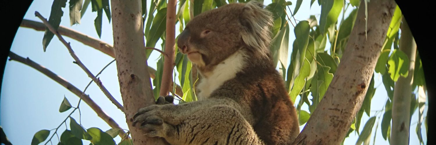 10mogo's profile banner image