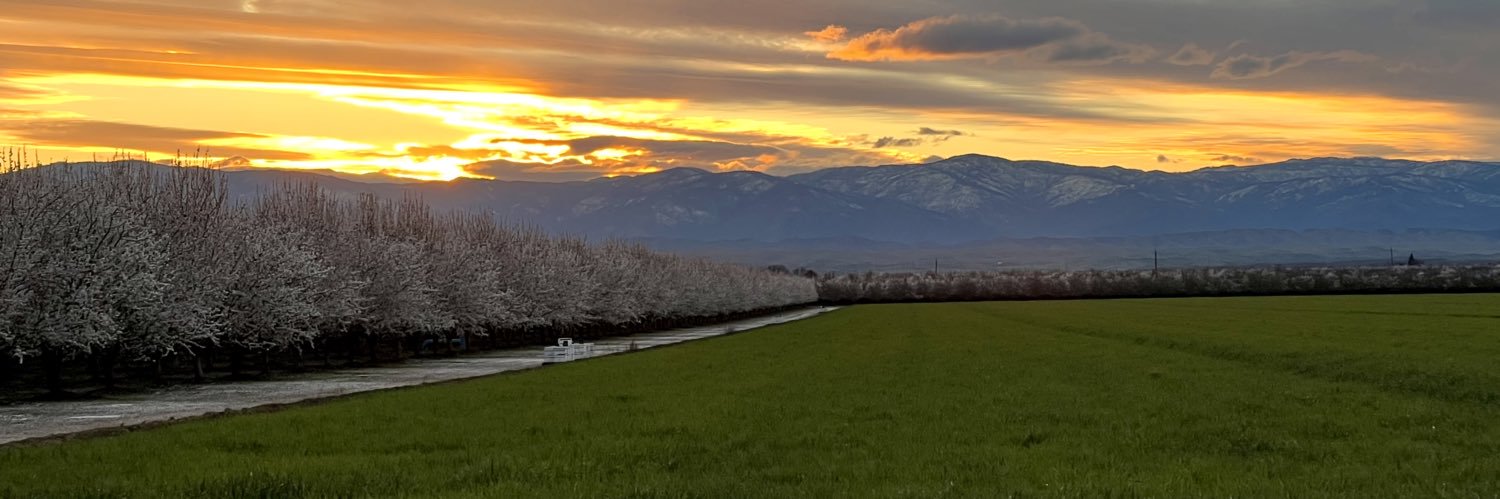 Sandy ~ Mom of 3 Nuts banner