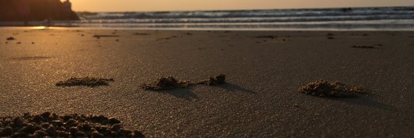 apoorv101093 Profile Banner