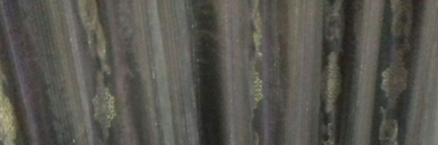 Zain Elbatniji banner