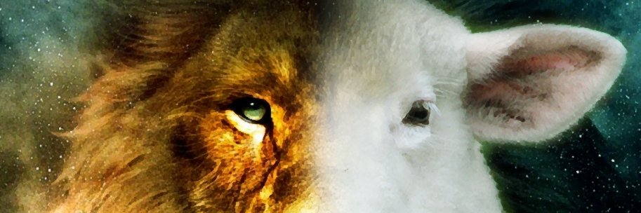 BeellaFranco's profile banner image