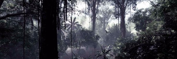 BadMonkeysTeam Profile Banner