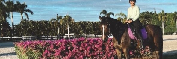 uneventful eventer banner
