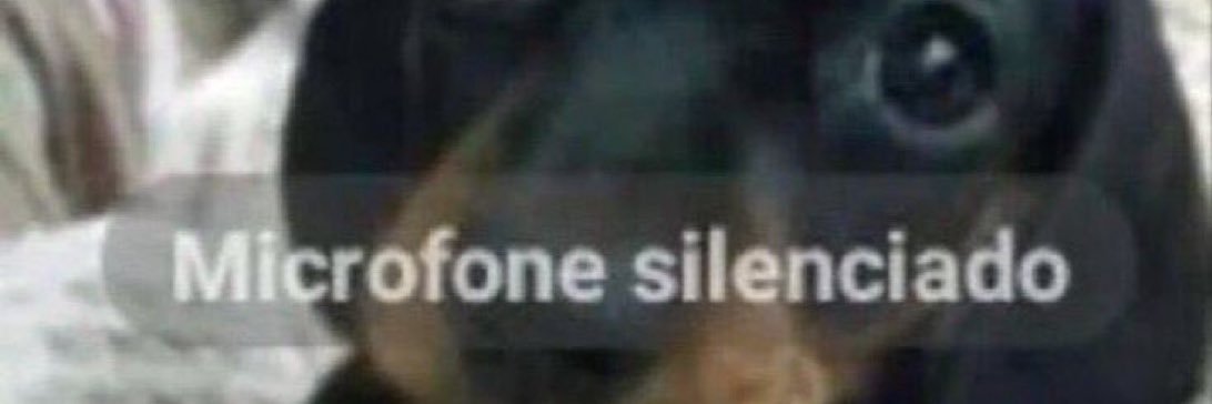 stripperzkdlin's profile banner image