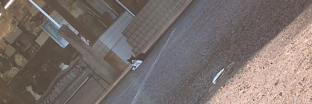 ゆーきゃん banner