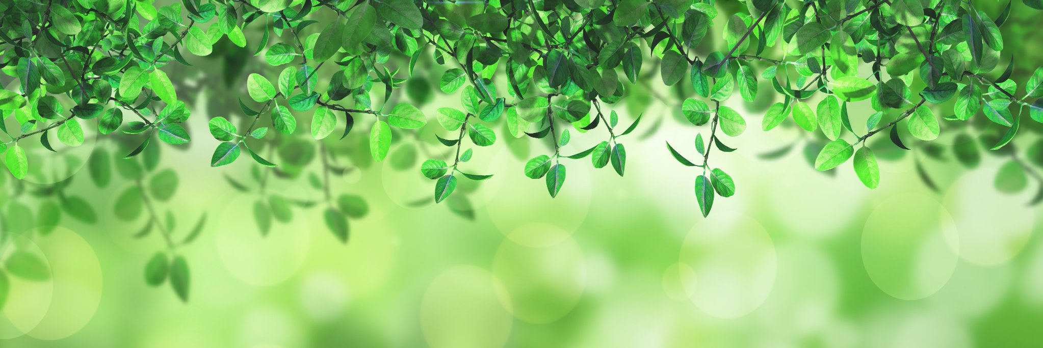 SamoorGroup's profile banner image