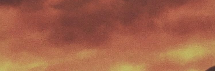 Flux banner