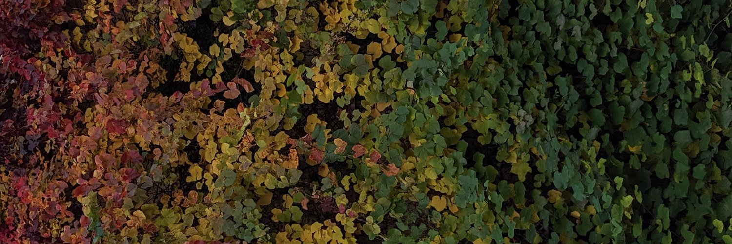 lbarbat's profile banner image