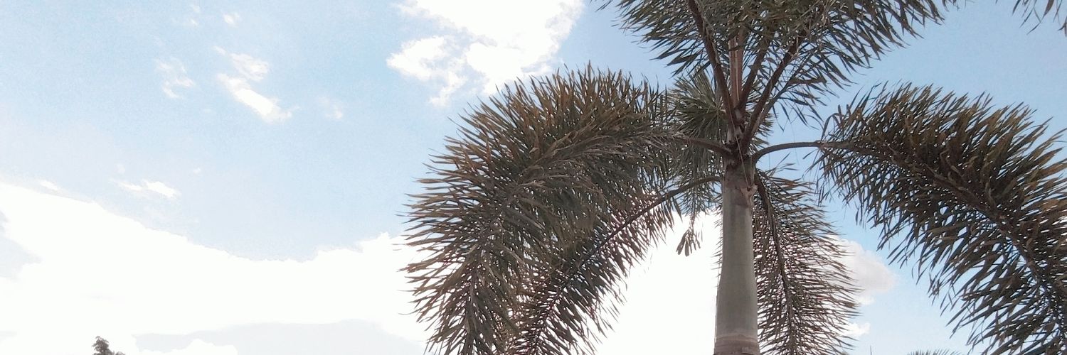 fafa_channy's profile banner image