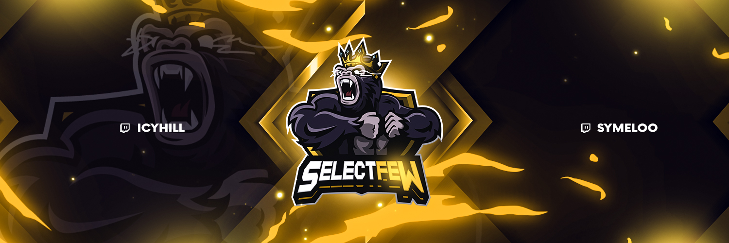 SeIectFewGaming's profile banner image