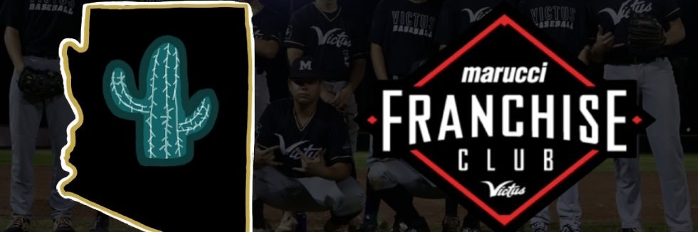 MMW Arizona banner