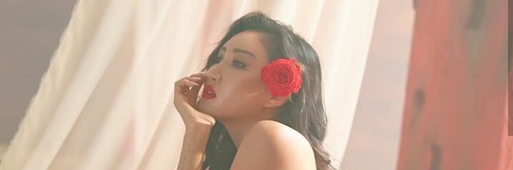 HIH7041's profile banner image
