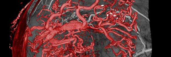 fdianamd Profile Banner