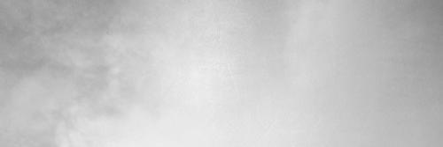 chesalch's profile banner image