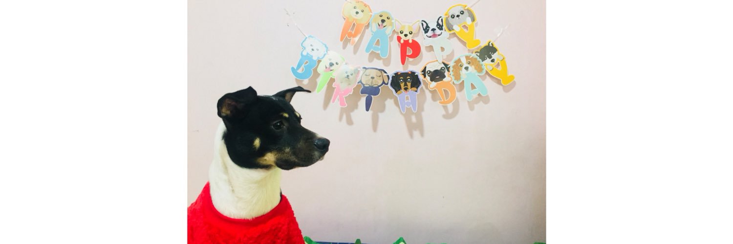 Poleng24's profile banner image