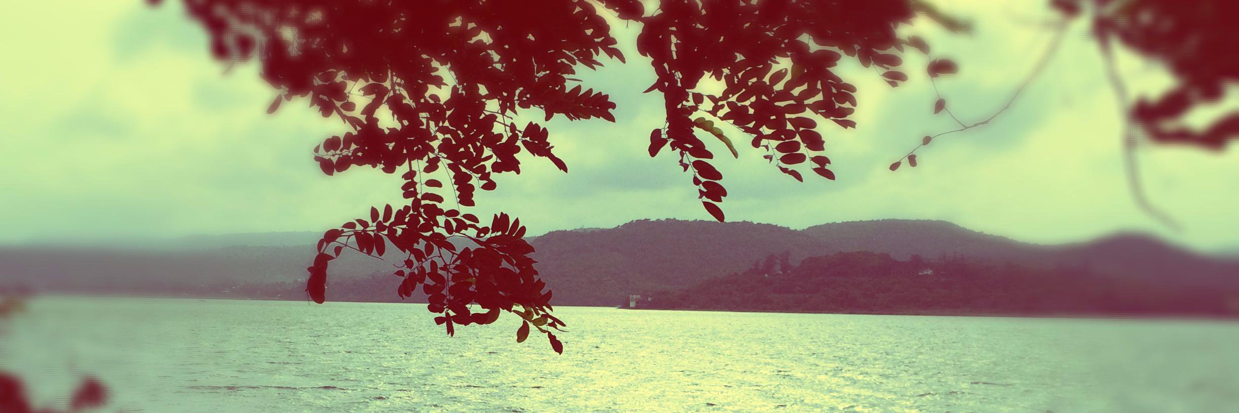 ChanderKararia's profile banner image