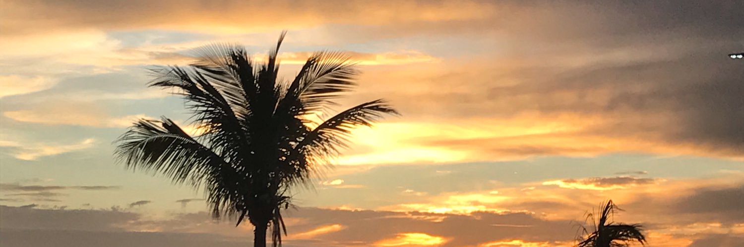 mariafaria02's profile banner image