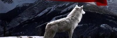 Pasazade_01's profile banner image