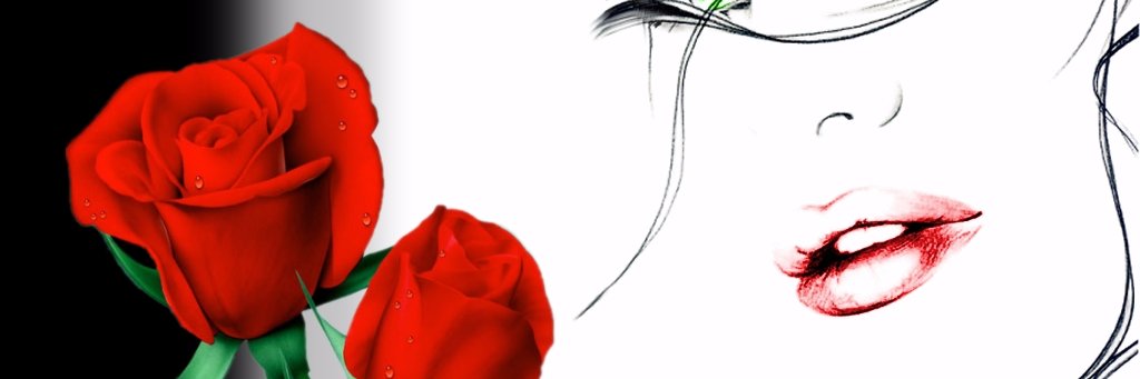 SwanBlair's profile banner image