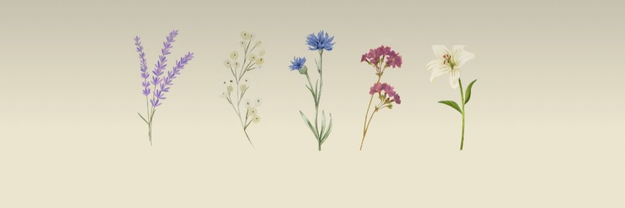 BryannaR13's profile banner image