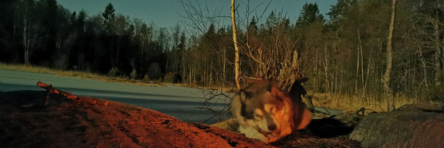 DeanSupreme's profile banner image