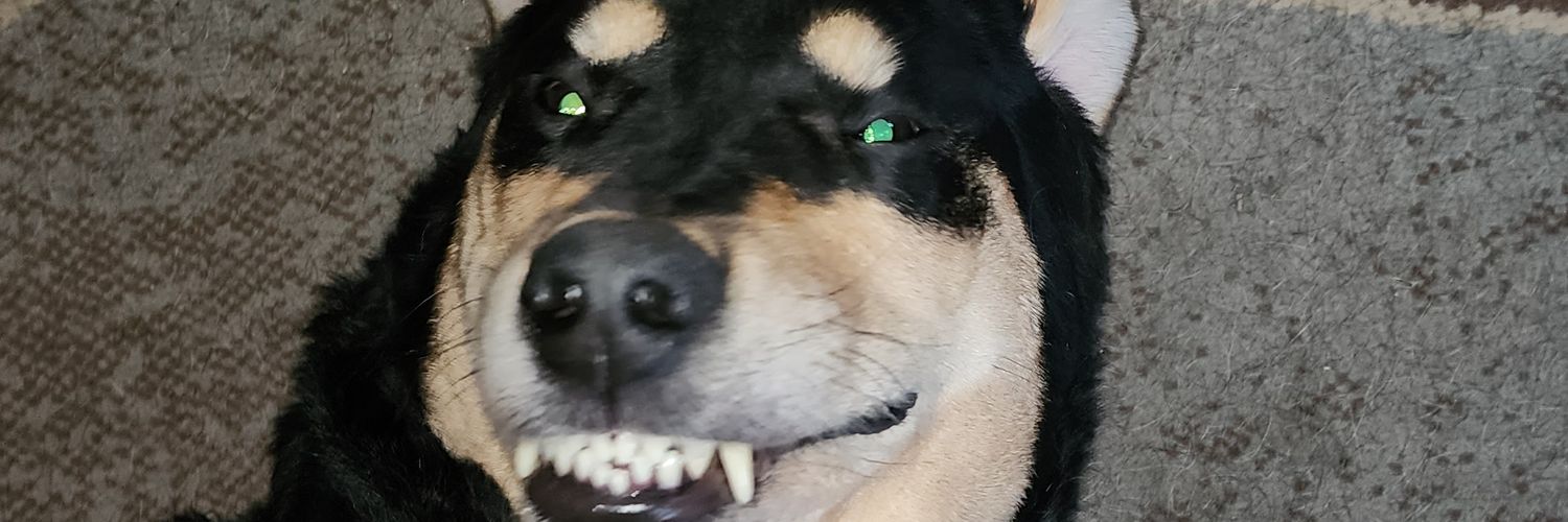 drewbeane's profile banner image