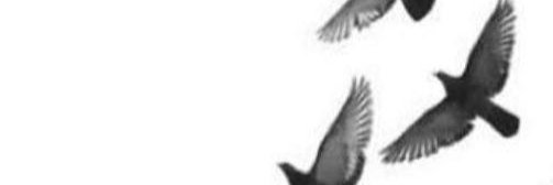 lt_qe0's profile banner image